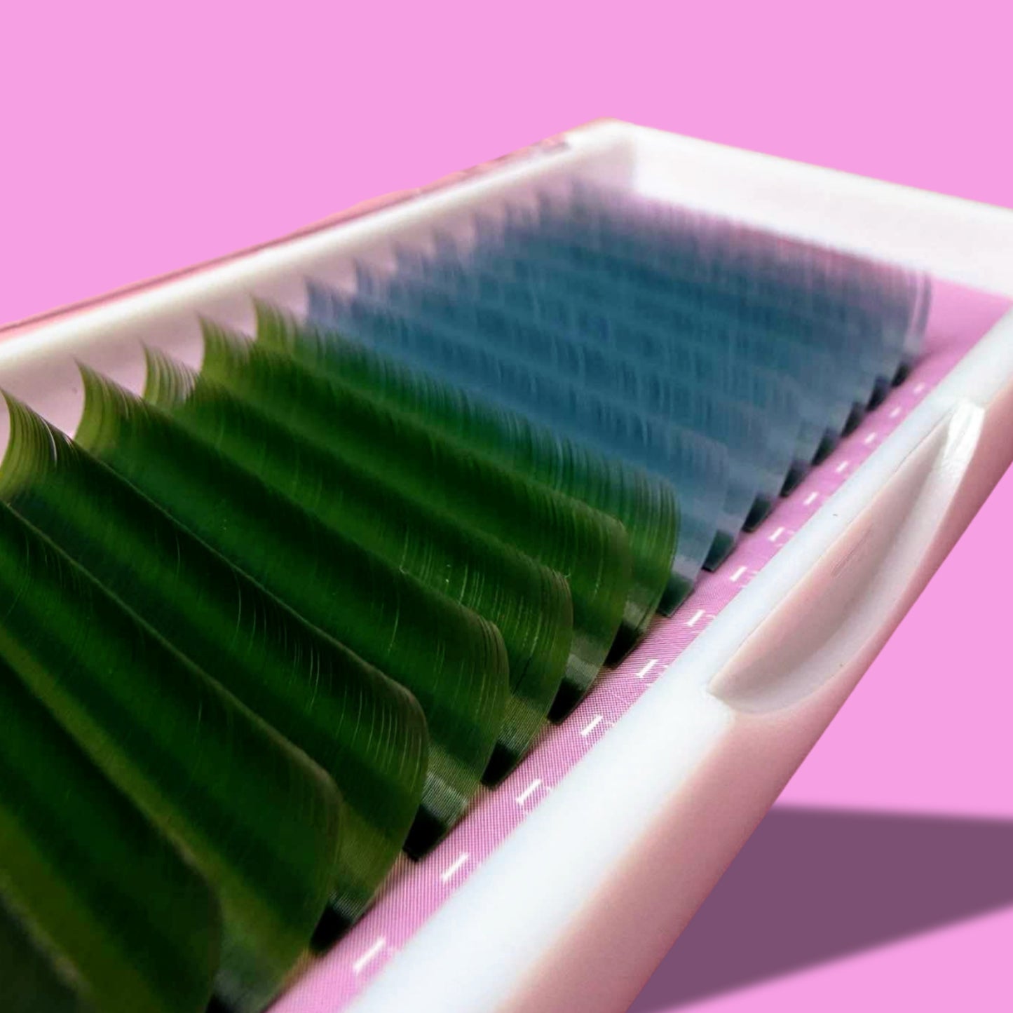 COLOUR LASHES