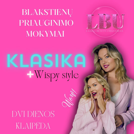 Klasikos blakstienų priauginimo mokymai 2-jų dienų